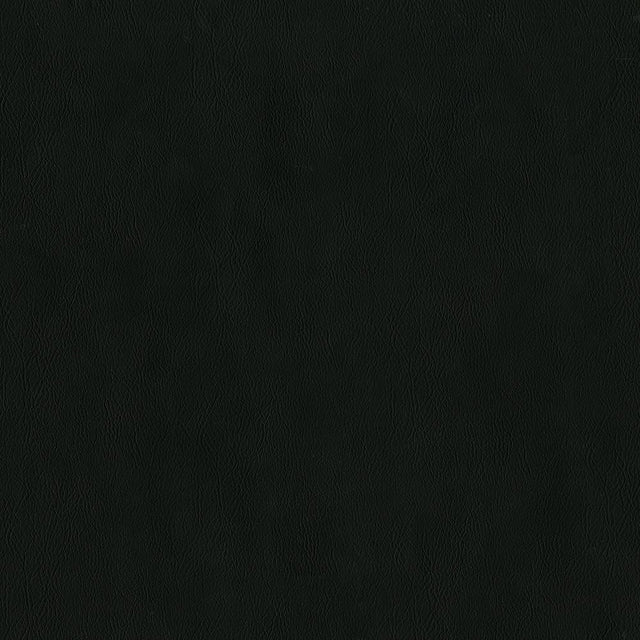 Maxwell JACKSON #640 ONYX Fabric