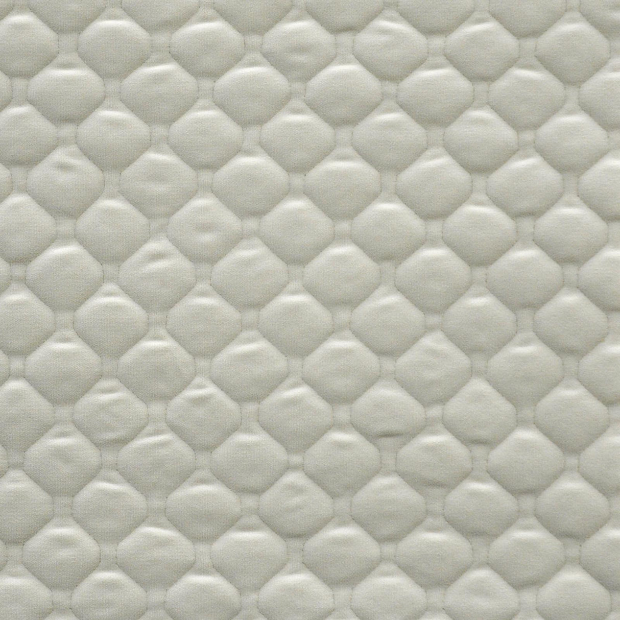 Maxwell APIARY #933 MILK Fabric