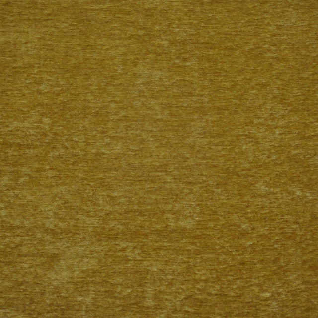 Maxwell BOUTON #733 GOLD Upholstery Fabric
