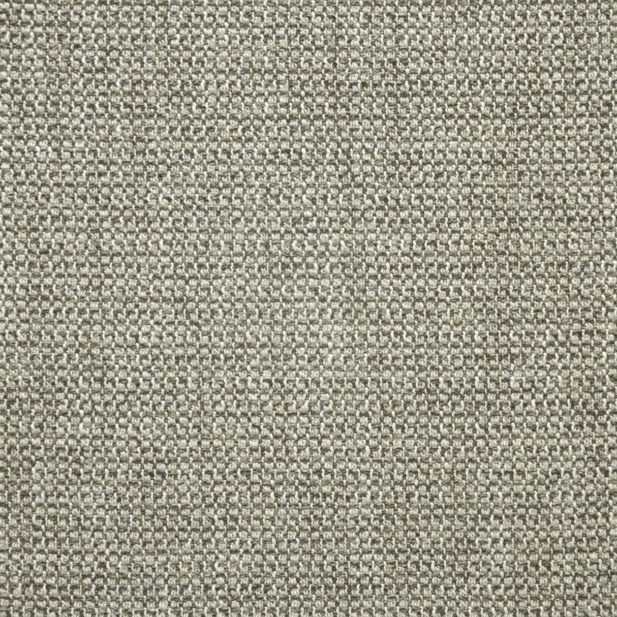Maxwell COLTER #916 FARADAY Upholstery Fabric