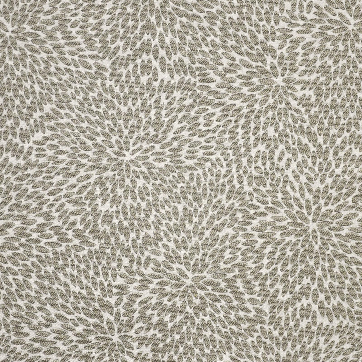 Maxwell ROSAPRIMA #912 DUSTY MILLER Upholstery Fabric
