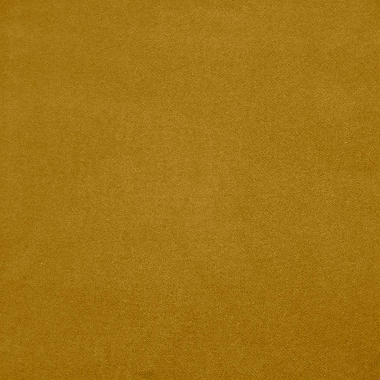 Maxwell VERA #731 ORO Fabric