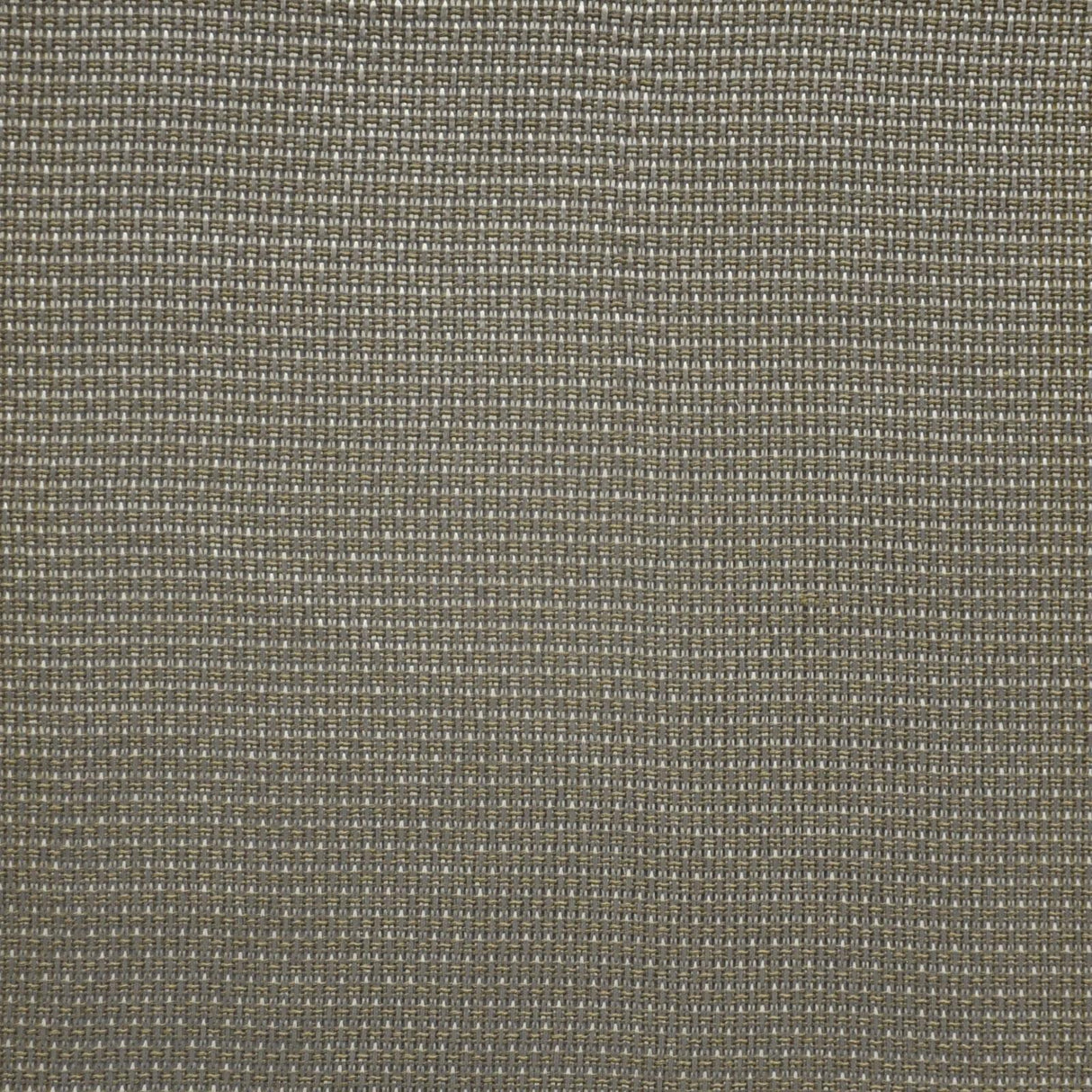 Maxwell SIDECAR #440 ALLOY Fabric