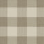 Kasmir Athena Check Linen Fabric