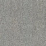 Kasmir Authentic Mist Fabric