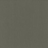 Kasmir Belgique Graphite Fabric