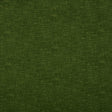 Kasmir Bluffhaven Forest Fabric