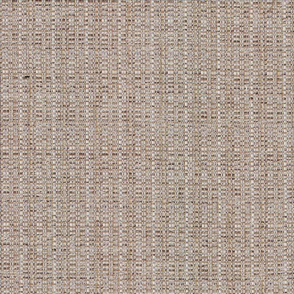 Kasmir Bouvier Linen Fabric