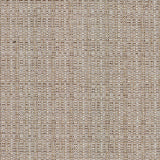 Kasmir Bouvier Linen Fabric