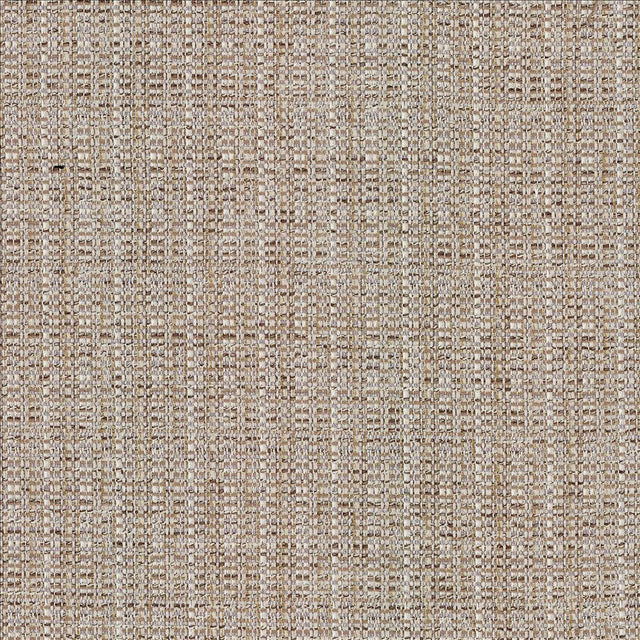 Kasmir Bouvier Linen Fabric