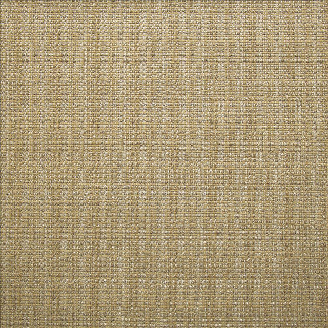 Kasmir Bouvier Sisal Fabric