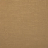 Kasmir Brandenburg Antique Fabric