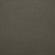 Kasmir Brandenburg Cindersmoke Fabric