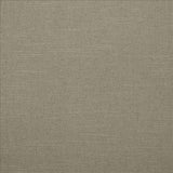 Kasmir Brandenburg Flint Fabric