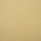 Kasmir Brandenburg Linen Fabric