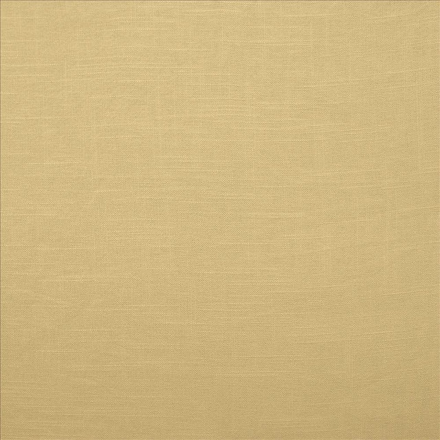 Kasmir Brandenburg Linen Fabric