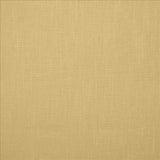 Kasmir Brandenburg Natural Fabric