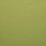 Kasmir Brandenburg Palm Fabric