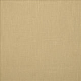 Kasmir Brandenburg Raffia Fabric