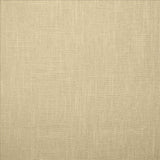 Kasmir Brandenburg Stonewash Fabric