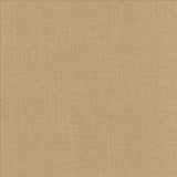 Kasmir Brigadoon Pavement Fabric