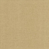 Kasmir Brigadoon Rain Fabric