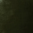 Kasmir Daring Sage Fabric
