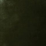 Kasmir Daring Sage Fabric