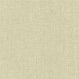 Kasmir Dougal Cloud Fabric