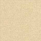 Kasmir Dougal Linen Fabric