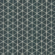 Kasmir Esteemed Denim Fabric