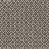Kasmir Favored Greystone Fabric