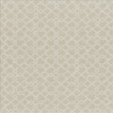 Kasmir Favored Linen Fabric