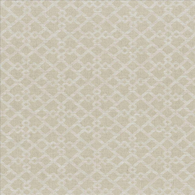 Kasmir Favored Linen Fabric