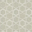 Kasmir Juvenescent Limestone Fabric