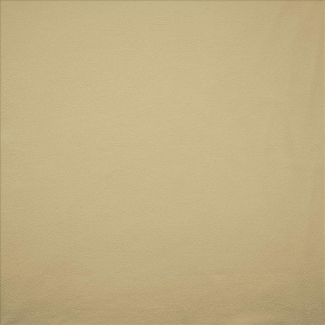 Kasmir Knockout Beach Fabric