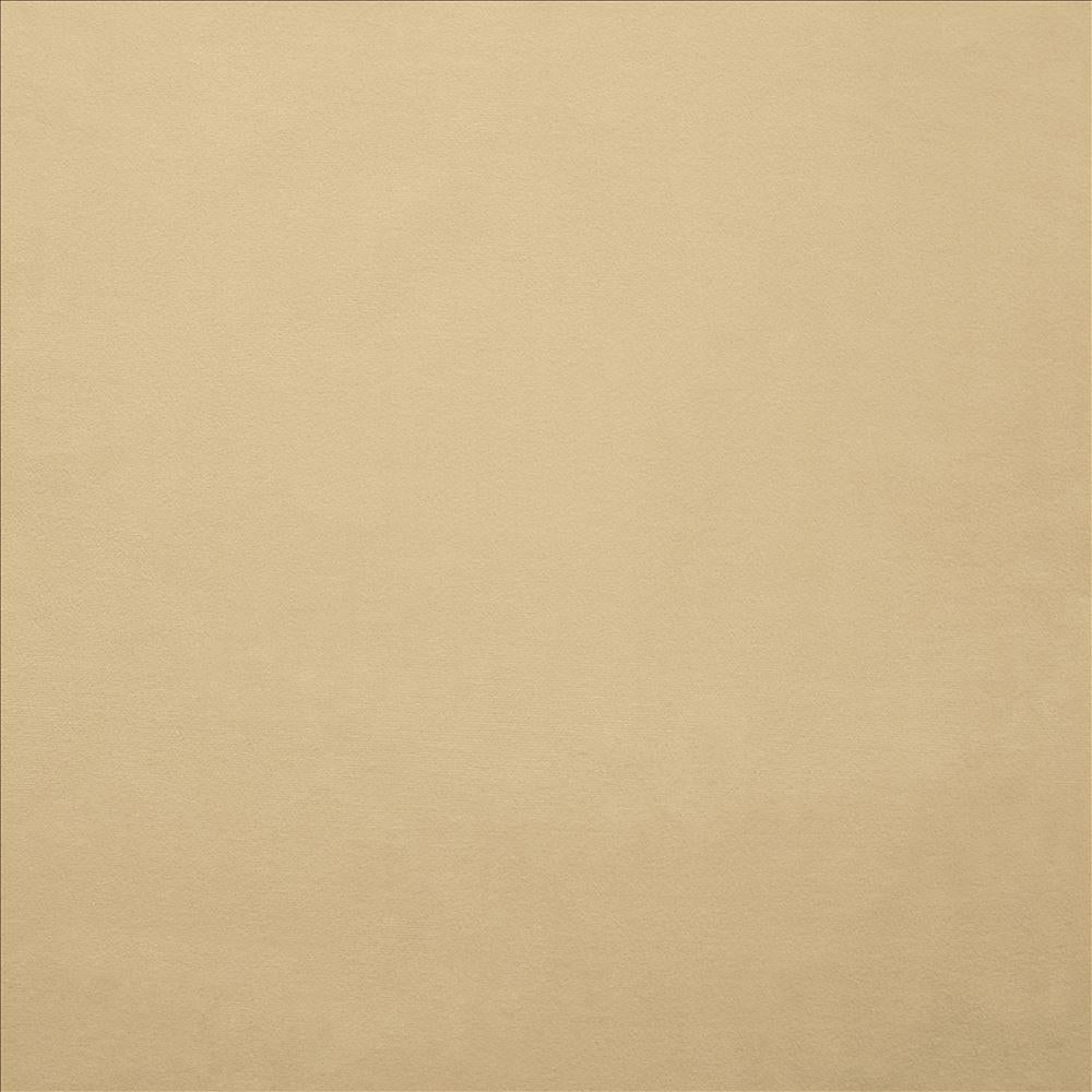 Kasmir Knockout Beige Fabric
