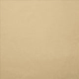 Kasmir Knockout Beige Fabric