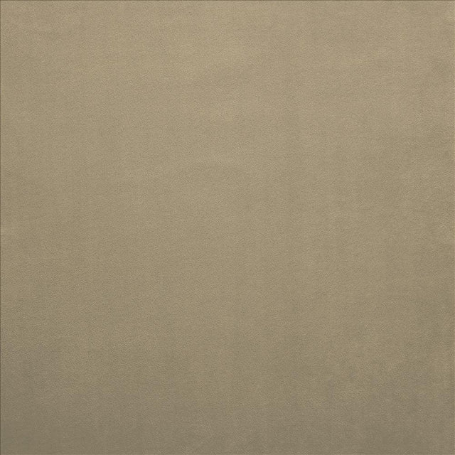 Kasmir Knockout Dove Fabric