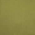 Kasmir Knockout Gecko Fabric