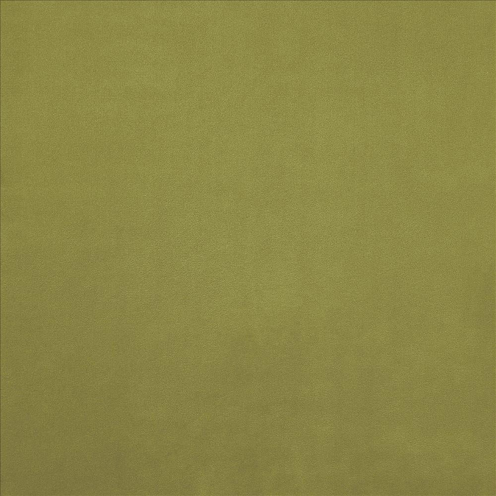Kasmir Knockout Gecko Fabric