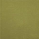 Kasmir Knockout Gecko Fabric