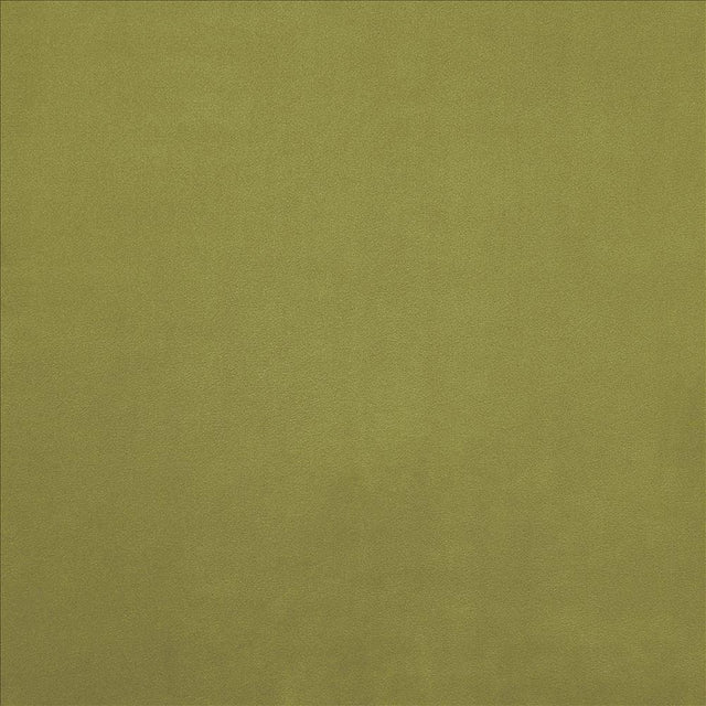 Kasmir Knockout Gecko Fabric