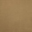 Kasmir Knockout Ginger Fabric