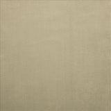 Kasmir Knockout Grey Fabric