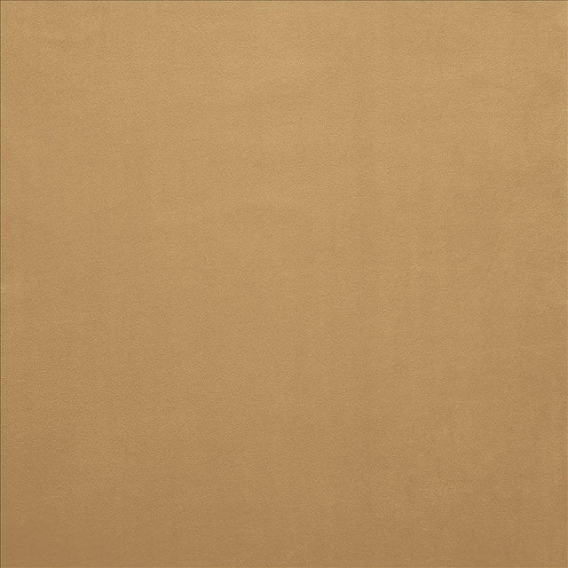 Kasmir Knockout Honey Fabric