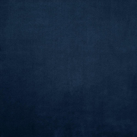 Kasmir Knockout Navy Fabric