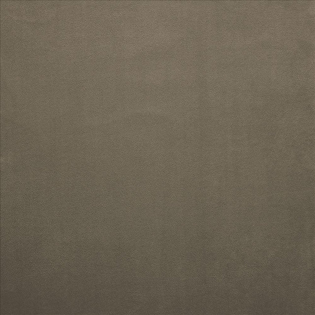 Kasmir Knockout Otter Fabric