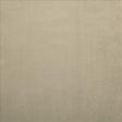 Kasmir Knockout Platinum Fabric
