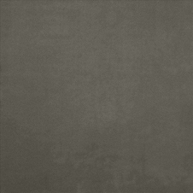 Kasmir Knockout Thunder Fabric